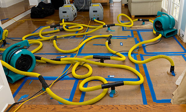 Professional Crawl Space Water Removal technician working in New Concord, OH